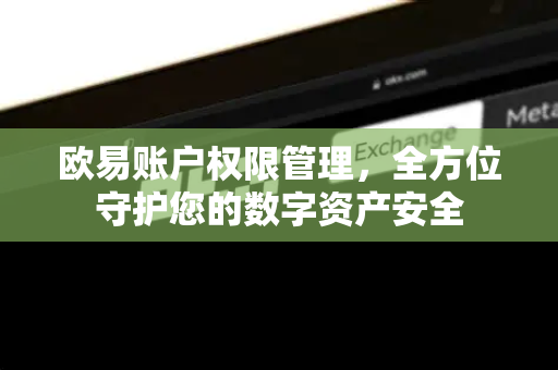 欧易账户权限管理，全方位守护您的数字资产安全