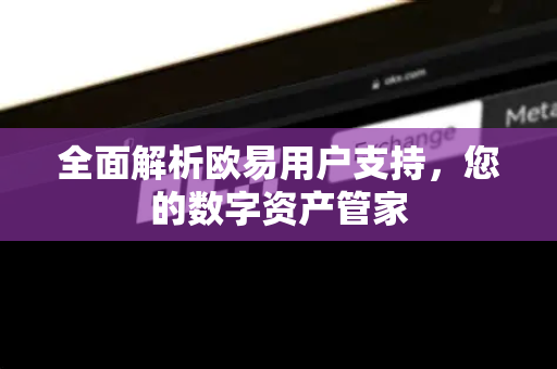 全面解析欧易用户支持，您的数字资产管家-第1张图片-欧易官方授权入口 | OKX注册 - 欧易优选安全下载平台