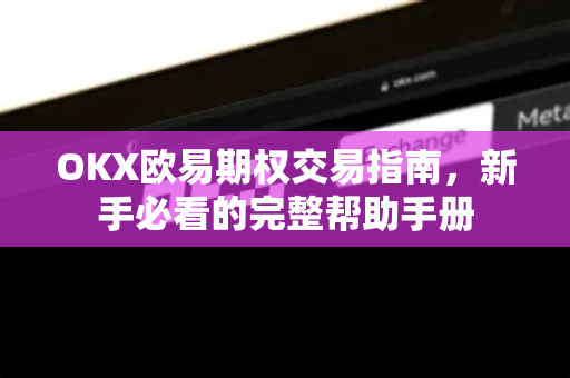 OKX欧易期权交易指南，新手必看的完整帮助手册