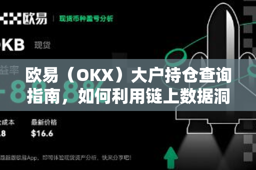 欧易（OKX）大户持仓查询指南，如何利用链上数据洞察市场趋势？-第1张图片-欧易官方授权入口 | OKX注册 - 欧易优选安全下载平台