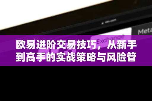 欧易进阶交易技巧，从新手到高手的实战策略与风险管理全解析