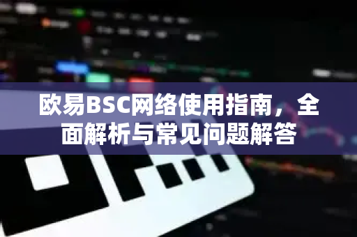 欧易BSC网络使用指南，全面解析与常见问题解答