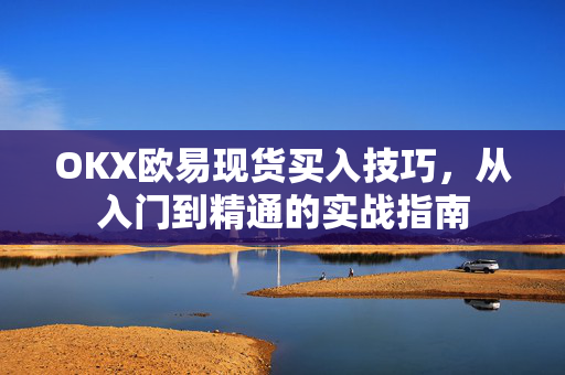 OKX欧易现货买入技巧，从入门到精通的实战指南